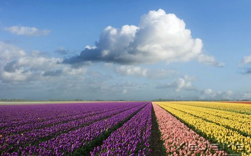 �ڴ�һ������ľ��룬�����������õļ��� (1)