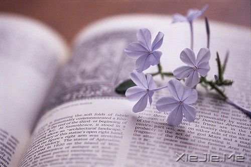 �簲�����Ҫ�ò�����������ʴ�����ĵ��� (4)