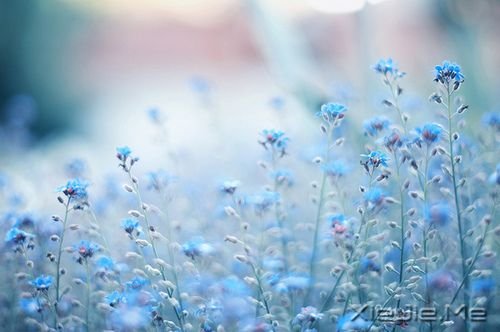 �簲����������з����꣬Ҳ������ (8)
