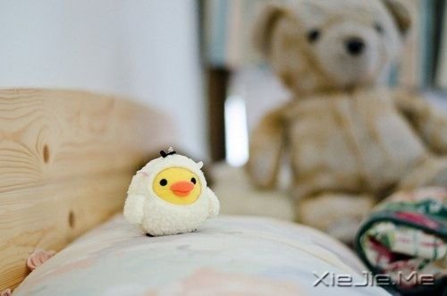 h0cNU h0cNU