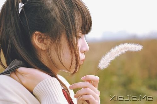 �����ţ������и��Ե��Ҹ������� (1)
